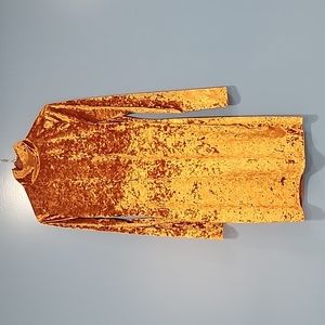 Long Sleeve Velvet Turtleneck Dressl